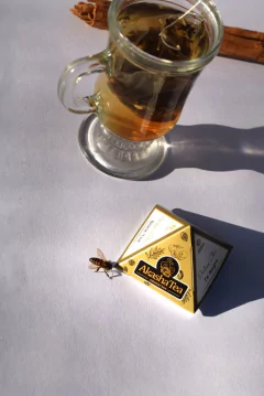 Imagen de Indian Chai