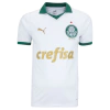 Camisa Palmeiras II 24/25