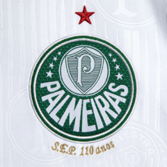 Camisa Palmeiras II 24/25 na internet
