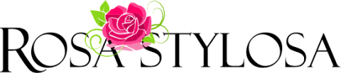 Rosa Stylosa
