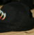 BONÉ PRETO STAY VIOLENT CA - comprar online