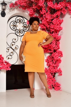 Vestido Plus Size DAMASCO PRINCESA