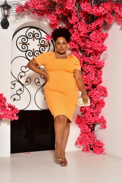 Vestido Plus Size DAMASCO PRINCESA - comprar online