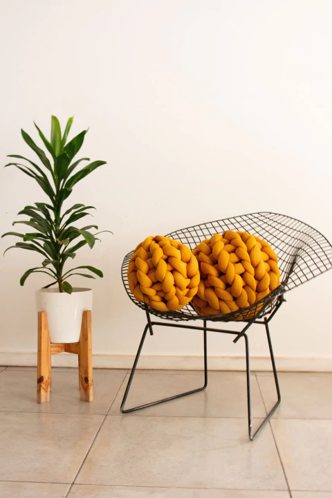 Dos Erizos - Chico y Grande - comprar online