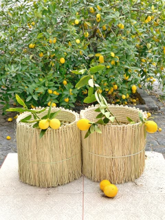 Imagen de Portamacetas de palma