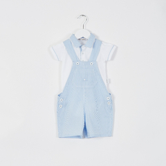 BODY M/CORTA POPLIN RAYADO CELESTE - comprar online