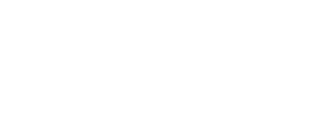 Esto es Bruta