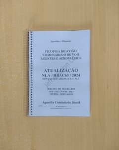 APOSTILA ATUALIZAÇÃO NLA 2024 / RBAC63