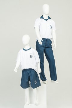 CHOMBA COLEGIO SANTA LUCIA S/V - comprar online