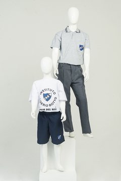 REMERA COLEGIO TIBERIO BOTTO - comprar online