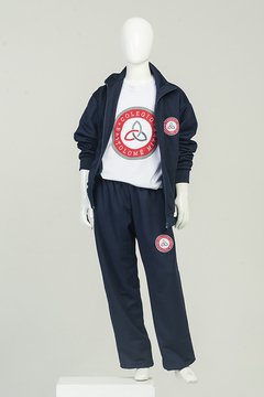 REMERA COLEGIO BARTOLOME MITRE - comprar online
