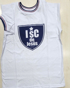 REMERA JERSEY INSTITUTO CHNSL