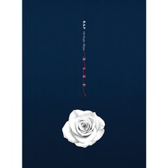B.A.P - Single Album Vol.6 [ROSE] na internet