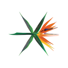 EXO - Album Vol.4 [THE WAR] - comprar online