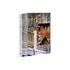 Jinyoung - [HEAR , HERE] in Taipei Photobook (Limited Edition)