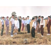 [PRONTA ENTREGA] Seventeen - Pôster oficial [YOU MAKE MY DAY]