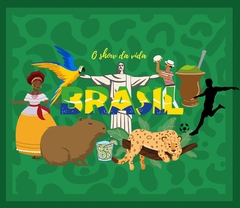 PAREÔ BRASIL LD - comprar online