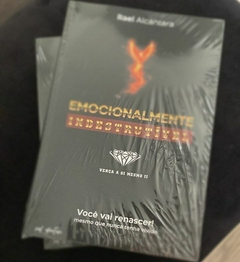 TRIOLOGIA ESPECIAL - VERSÃO EBOOK - Rael Alcantara
