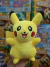 Peluche Pokemon 23 CM - comprar online