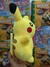 Peluche Pokemon 23 CM en internet