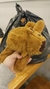 Peluche pulsera CAPYBARA importado en internet
