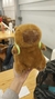 Peluche CAPYBARA 25 cm importado en internet