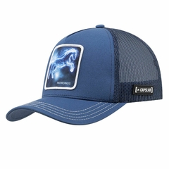 GORRA CAPSLAB HARRY POTTER- PAT1