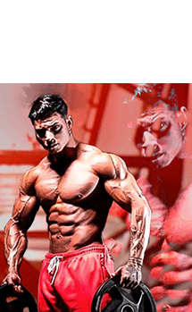 PROTOCOLO HALLYSON FLÁVIO