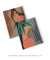 Conjunto 2 Quadros Decorativos Color Block