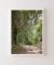 Quadro Decorativo Fotografia Imensidão Verde - comprar online