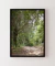 Quadro Decorativo Fotografia Imensidão Verde na internet