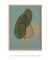 Imagem do Quadro Decorativo Botânica - Folha Outono Verde