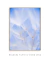 Quadro Decorativo Dente de Leão 08 - DePoster Content Décor | Loja Online de Quadros Decorativos