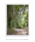Quadro Decorativo Fotografia Imensidão Verde - DePoster Content Décor | Loja Online de Quadros Decorativos