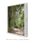 Imagem do Quadro Decorativo Fotografia Imensidão Verde
