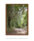 Quadro Decorativo Fotografia Imensidão Verde - DePoster Content Décor | Loja Online de Quadros Decorativos