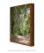 Quadro Decorativo Fotografia Imensidão Verde - comprar online