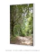 Quadro Decorativo Fotografia Imensidão Verde - DePoster Content Décor | Loja Online de Quadros Decorativos