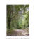 Quadro Decorativo Fotografia Imensidão Verde - loja online