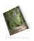Quadro Decorativo Fotografia Imensidão Verde