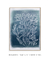 Quadro Decorativo Fundo do Mar Marina Amaral - DePoster Content Décor | Loja Online de Quadros Decorativos