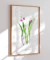 Quadro Decorativo Laelia Purpurata Reginae na internet