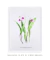 Imagem do Quadro Decorativo Laelia Purpurata Reginae