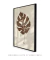Quadro Decorativo Poster Natureza Folha Costela de Adão - Folha Seca - comprar online