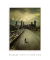 Quadro Decorativo Poster Série - The Walking Dead na internet