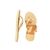Chinelo Feminino Colcci Correia Fina Timeless - comprar online