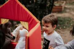 Teatro Grande - Naranja con Tul en internet