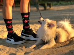 Meias Urbans Crossfit Bike Skate Cano Alto Patas Cachorro