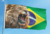 Bandeira Leão Brasil - comprar online