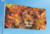 Bandeira Leão Fogo - comprar online